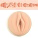 Мастурбатор Fleshlight Girls Jenna Jameson Legend купити в секс шоп Sexy