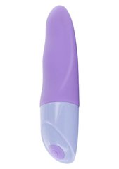 Вибратор Passion Mini Vibe Purple купить в sex shop Sexy