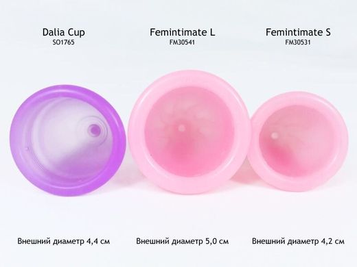 Менструальная чаша Femintimate Eve Cup размер L купити в sex shop Sexy