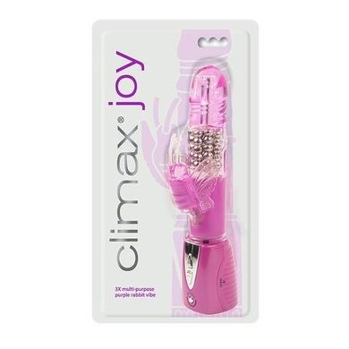 Вібратор Climax Joy 3X Multi-Purpose Rabbit Vibe Purple купити в sex shop Sexy