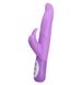 Вибратор для точки G и клитора Wiggle Rabbit Vibrator Purple купить в секс шоп Sexy