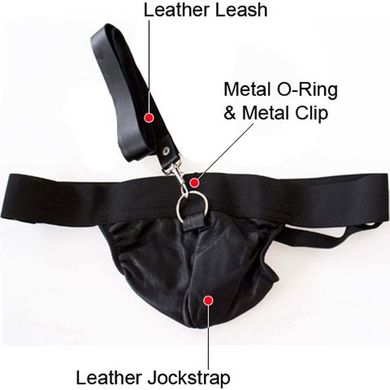 Мужские трусы на поводке Fetish Fantasy Leather Jockstrap and Leash купить в sex shop Sexy