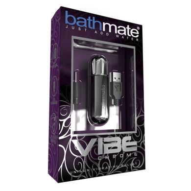 Вибропуля Bathmate Vibe Bullet Chrome купить в sex shop Sexy