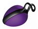 Вагинальный шарик Joyballs Secret Single Purple купить в секс шоп Sexy