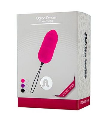 Виброяйцо з бездротовим пультом управління Ocean Dream Фіолетовий купити в sex shop Sexy