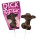 Шоколадный член на палочке Dick on a Stick (30 гр) купить в секс шоп Sexy