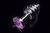 Витая металлическая пробка с кристаллом Small Silver Purple купить в sex shop Sexy