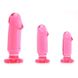Набір анальних пробок Anal Starter Kit Pink купити в секс шоп Sexy