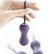 Набор вагинальных шариков Je Joue - Ami Purple купити в секс шоп Sexy