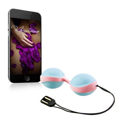 Вібро-кульки керовані смартфоном Vibratissimo Duoball Charger Blue / Pink купити в sex shop Sexy