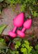 Перезаряжаемая анальная пробка Gplug Small Neon Rose купить в секс шоп Sexy