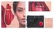 Вакуумный клиторальный стимулятор Womanizer Premium Red купити в секс шоп Sexy