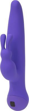 Вибратор с сенсорным управлением Touch by SWAN - Duo Purple купити в sex shop Sexy