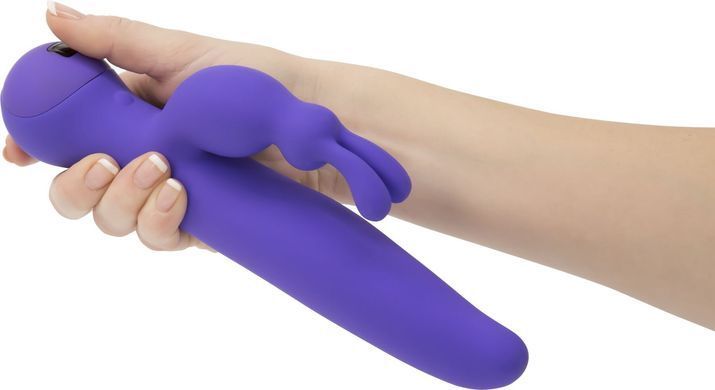 Вибратор с сенсорным управлением Touch by SWAN - Duo Purple купити в sex shop Sexy