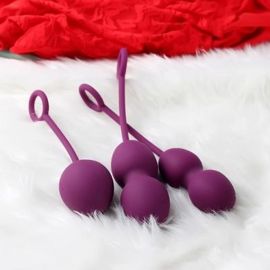 Вагінальні кульки Svakom Nova Exercise Ball Purple купити в sex shop Sexy