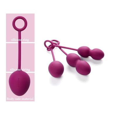 Вагинальные шарики Svakom Nova Exercise Ball Purple купить в sex shop Sexy