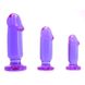 Набор анальных пробок Anal Starter Kit Purple купить в секс шоп Sexy