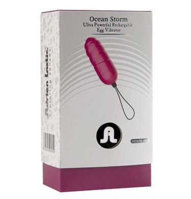 Перезаряжаемое виброяйцо с беспроводным ДУ Ocean Storm LRS Голубой купить в sex shop Sexy