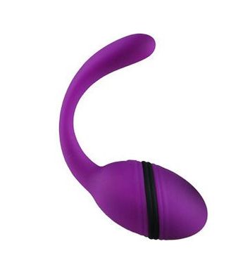 Перезаряжаемое виброяйцо с беспроводным ДУ Smart Dream LRS купить в sex shop Sexy