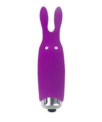 Вібростимулятор Lastic Pocket Vibe Rabbit Фіолетовий купити в sex shop Sexy