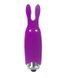 Вібростимулятор Lastic Pocket Vibe Rabbit Фіолетовий купити в секс шоп Sexy