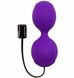 Вагинальные шарики с вибрацией Adrien Lastic Kegel Vibe Purple купить в секс шоп Sexy