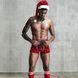 Новорічний чоловічий еротичний костюм Улюблений Санта купити в секс шоп Sexy