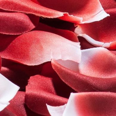 Ароматизированные лепестки Bijoux Indiscrets Rose Petal Explosion купить в sex shop Sexy