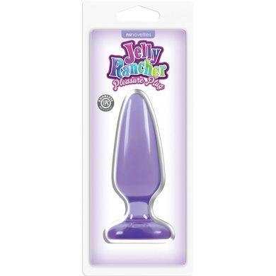 Анальная пробка Jelly Rancher Small Pleasure Plug Purple купить в sex shop Sexy