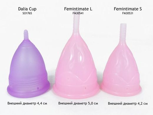 Менструальная чаша Femintimate Eve Cup размер L с переносным душем купити в sex shop Sexy