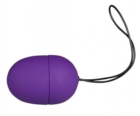 Бездротове віброяйце RC Purple & Silky купити в sex shop Sexy